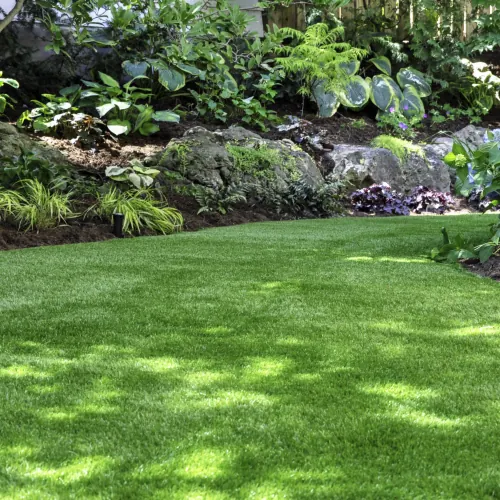 LAWN TREATMENT