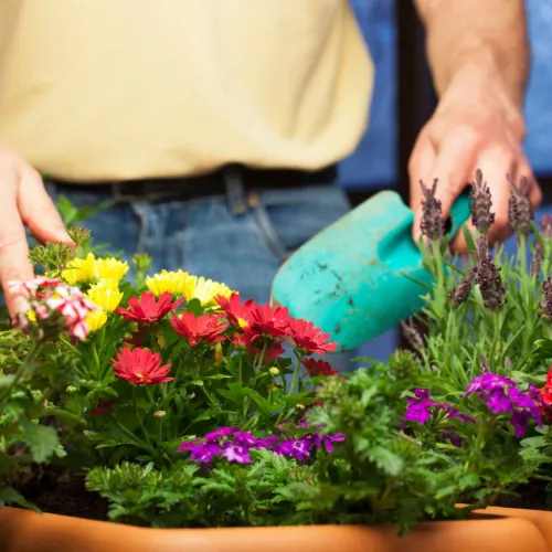 GARDENING SERVICES